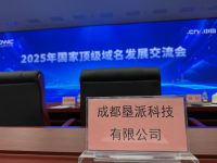 垦派科技参加CNNIC主办2025年第一季度国家顶级域名运营分析会