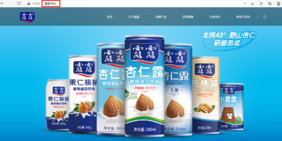 “露露”之争又有新进展，“.网址”中文域名捍卫企业生命线