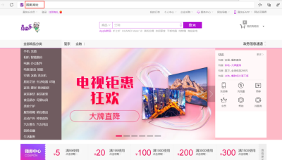 国美电器注册.网址中文域名保护知识产权