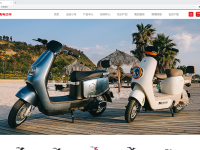 “遥遥领先”更要重视知识产权，中文域名