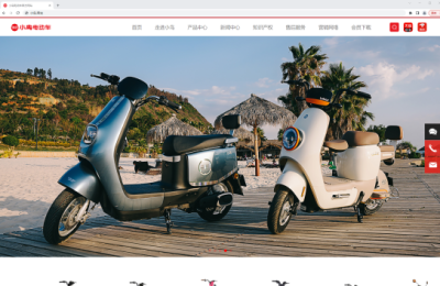 “遥遥领先”更要重视知识产权，中文域名