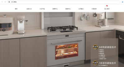 智能厨电火王注册中文网址，“爆炒”中国味儿构建网络品牌屏障