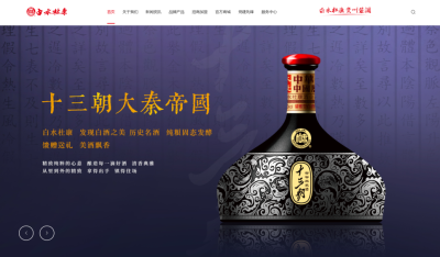 白水“杜康”注册.网址中文域名保护知识产权