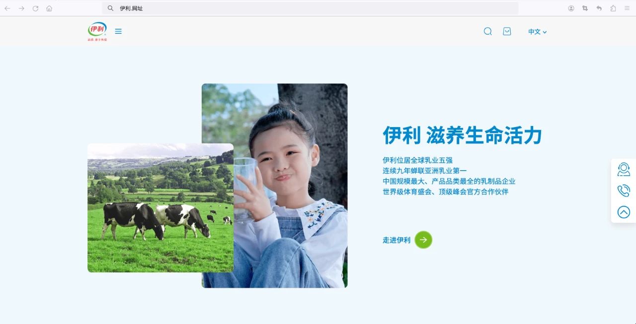 伊利官网使用中文网址,保护商标知识产权塑造品牌“国潮范儿”