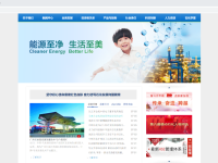 中石化注册“.网址”中文域名 构建品牌资产保护网