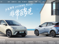 比亚迪“海鸥”逆袭，带动中文网址价值提升