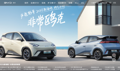 比亚迪“海鸥”逆袭,带动中文网址价值提升