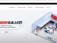 “.网址”中文域名引领数字营销新国潮