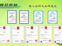 山西晋艾农业启用中文网址，助力弘扬中华养生文化