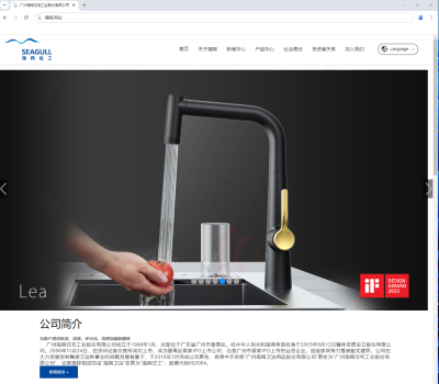 比亚迪“海鸥”逆袭,带动中文网址价值提升